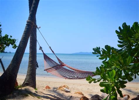 Rehabs in Thailand: Reviews and Costs of .
